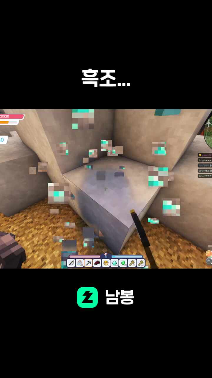 흑조...