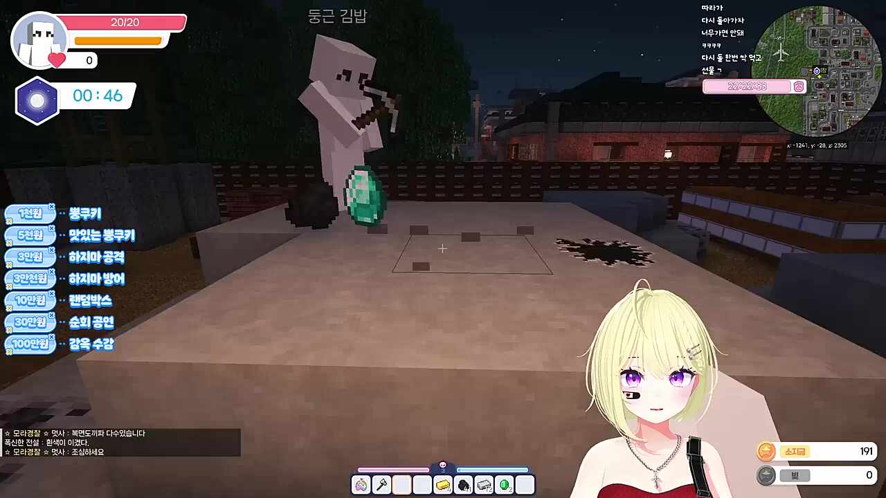 자석펫