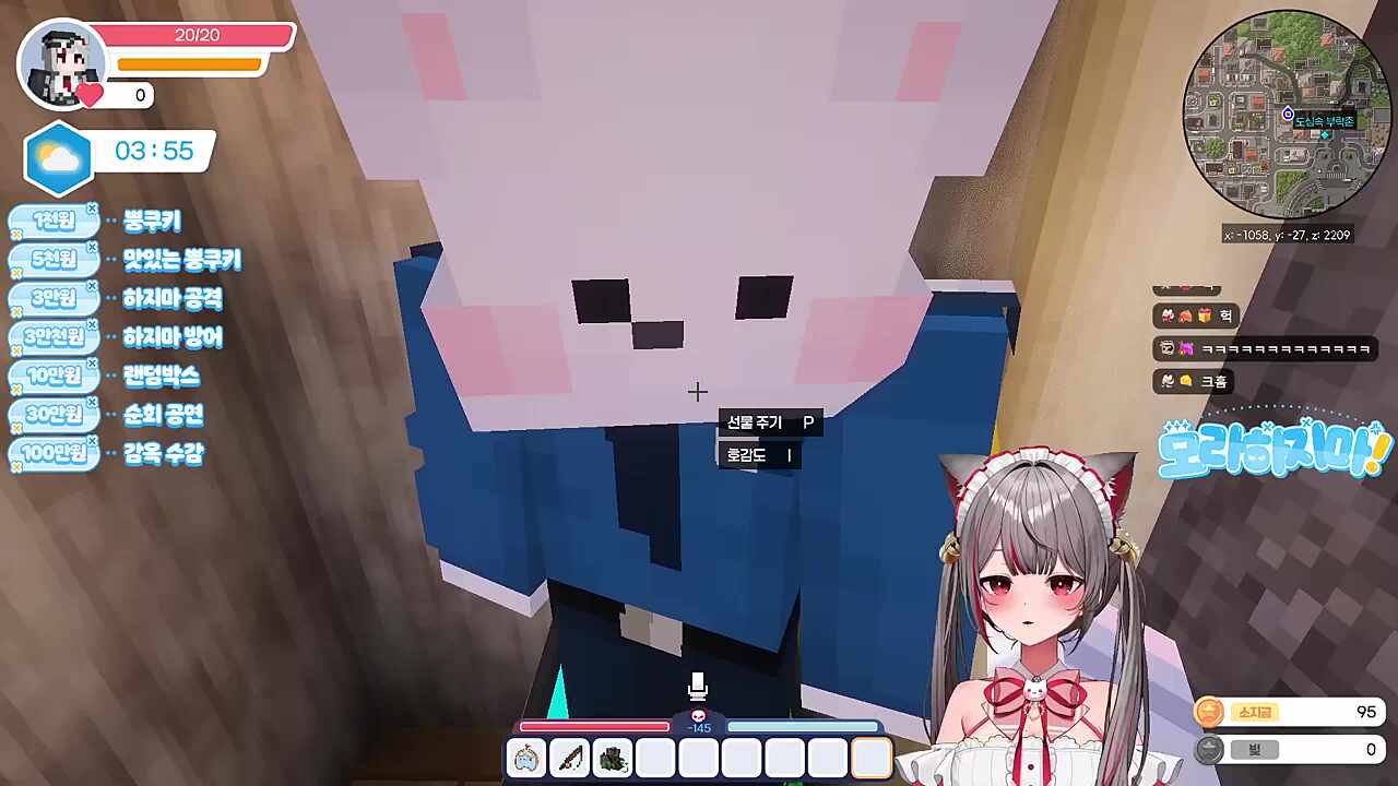 도둑고양이