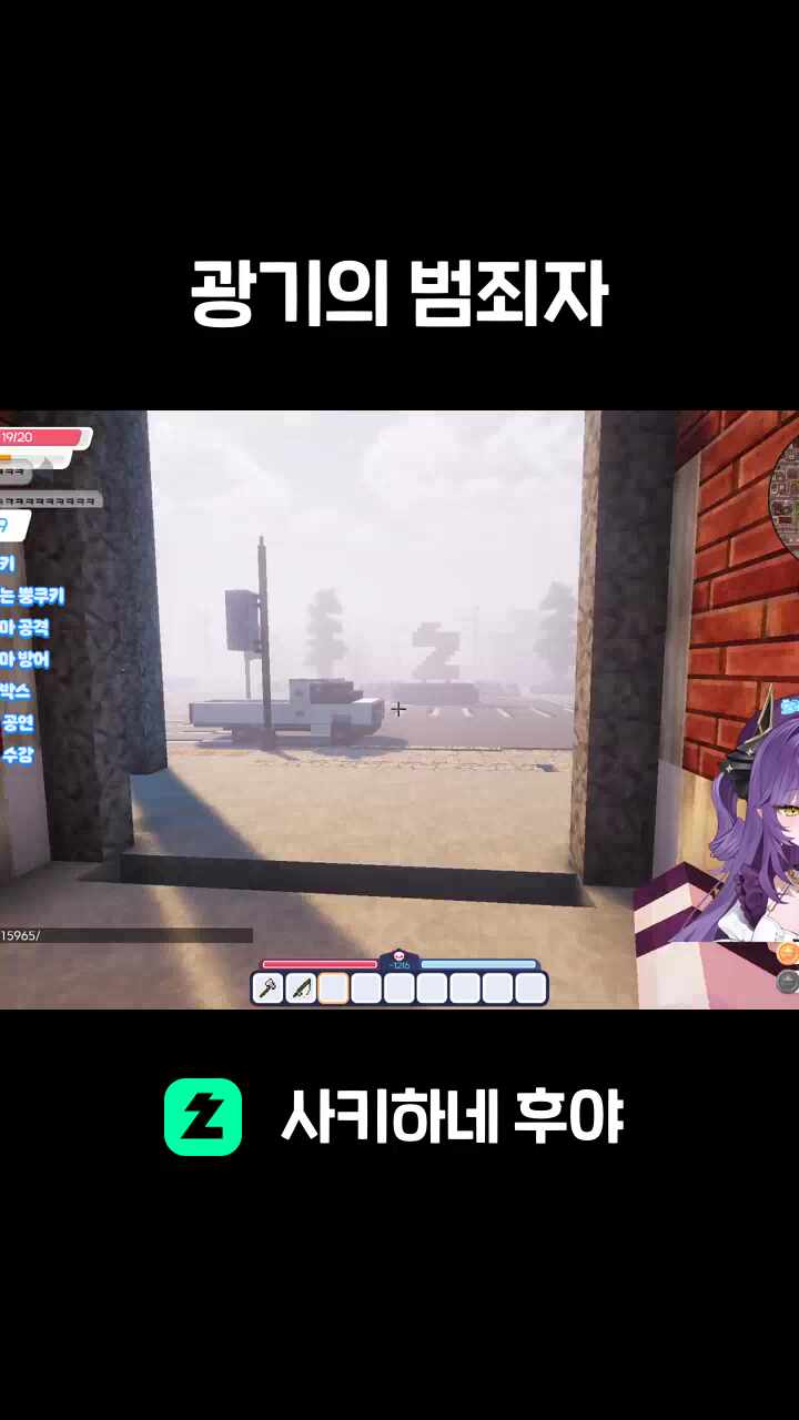 광기의 범죄자