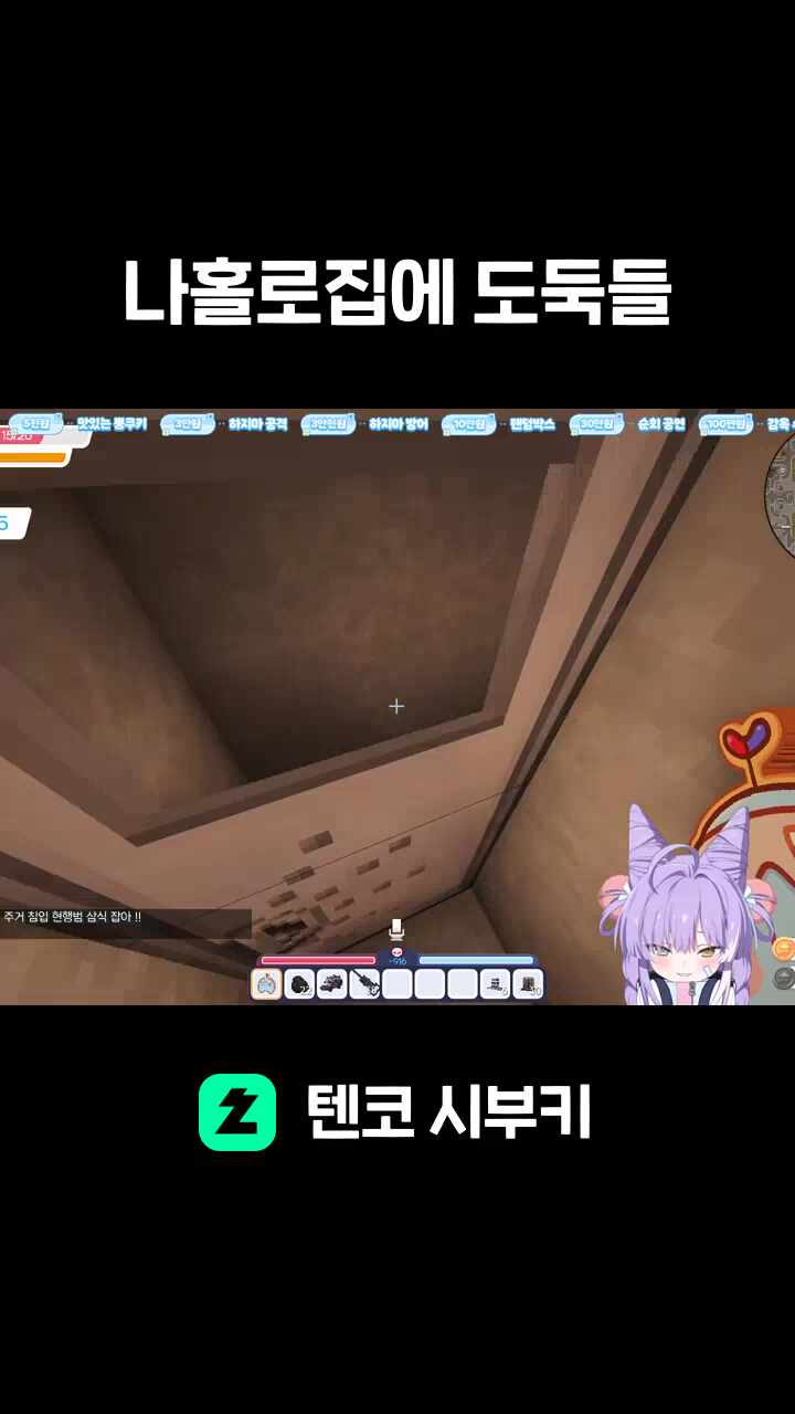 나홀로집에 도둑들