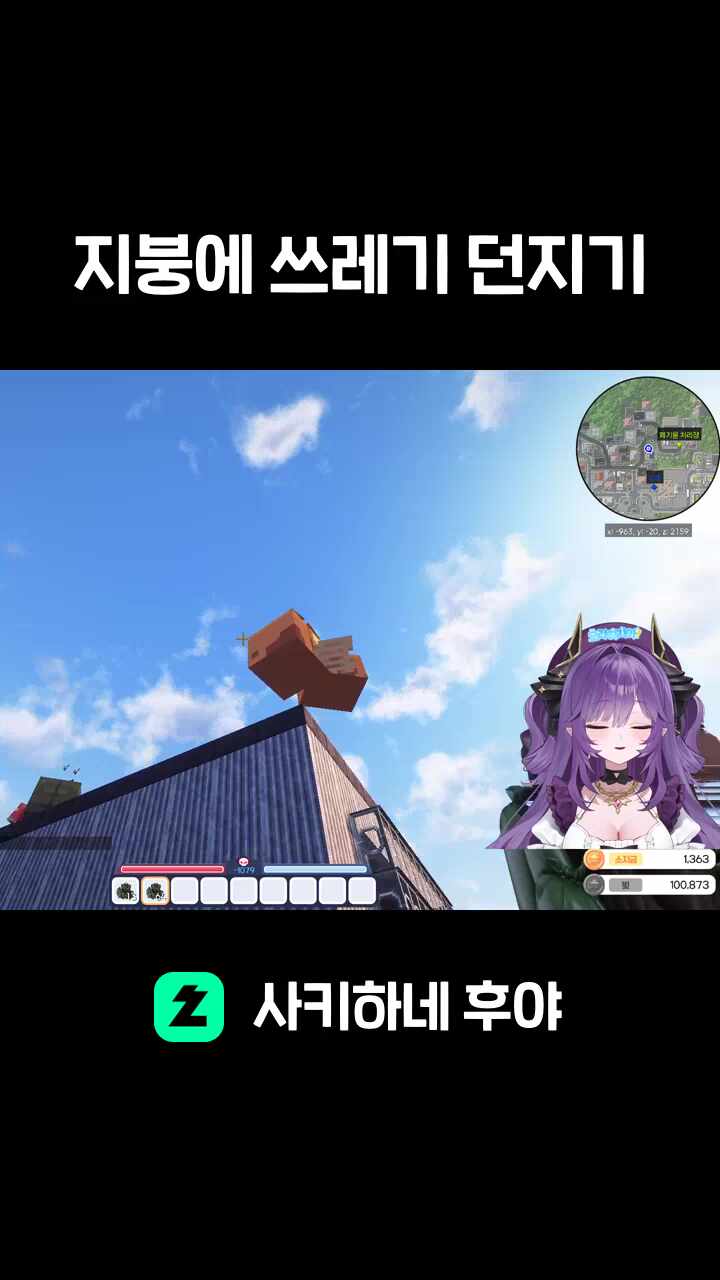지붕에 쓰레기 던지기
