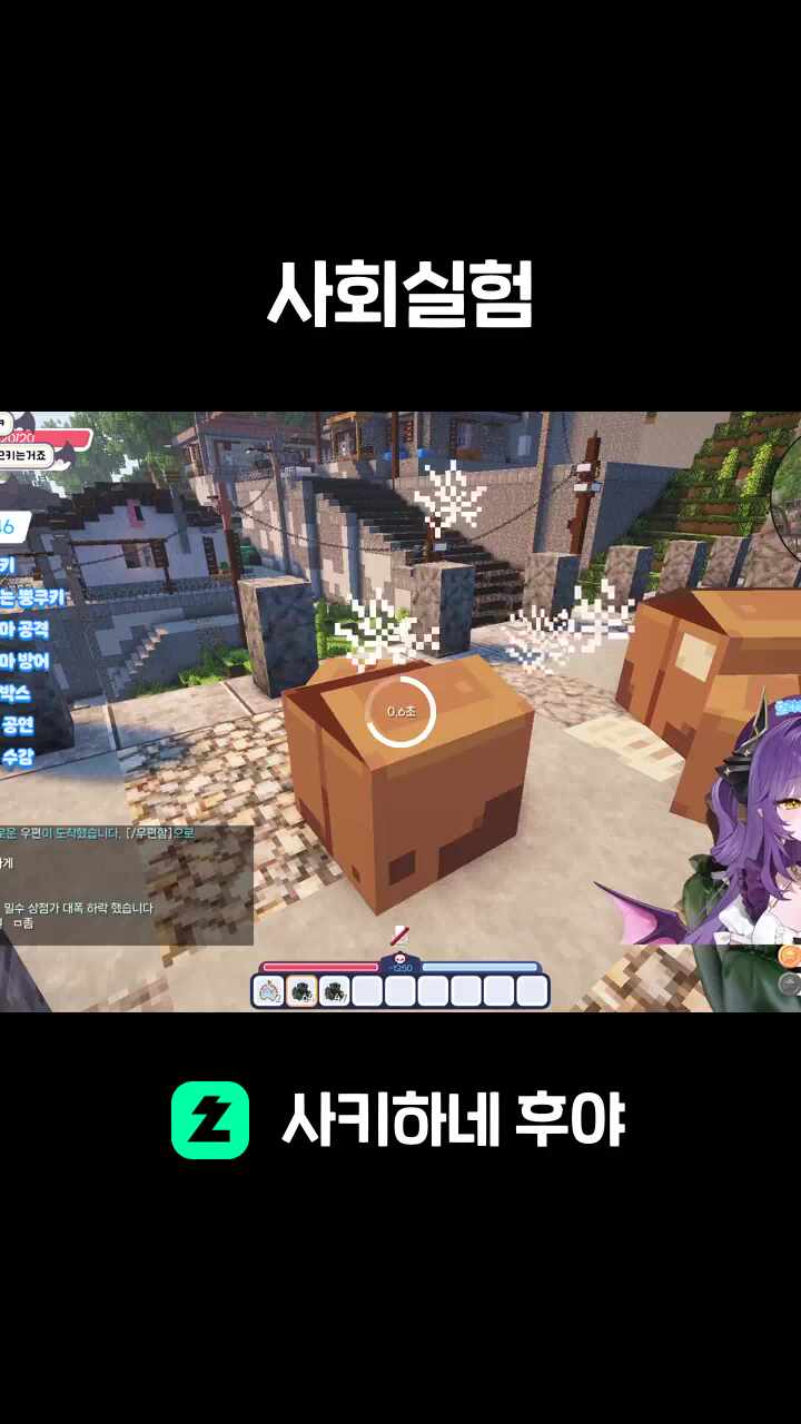 사회실험