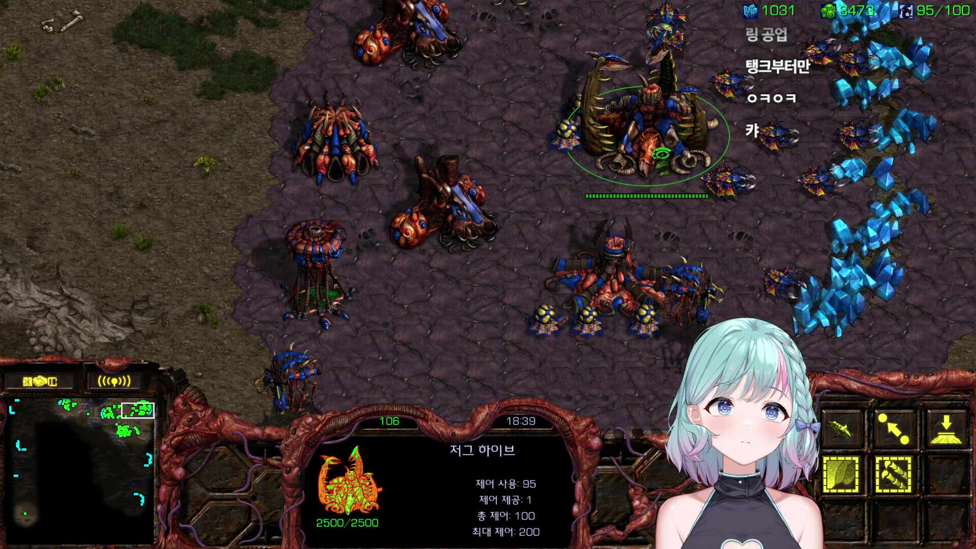 모라하지마 서버 2일차 !