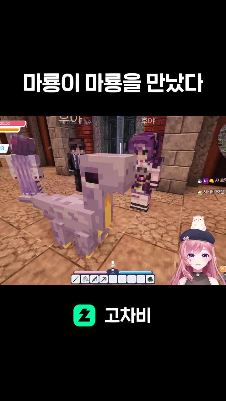 마룡이 마룡을 만났다