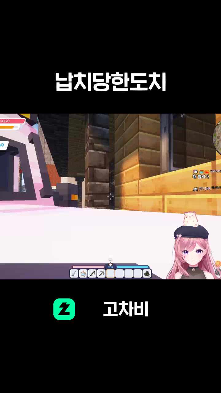 납치당한도치