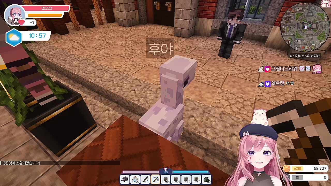 후야님과 차비님 펫 후야의 공명