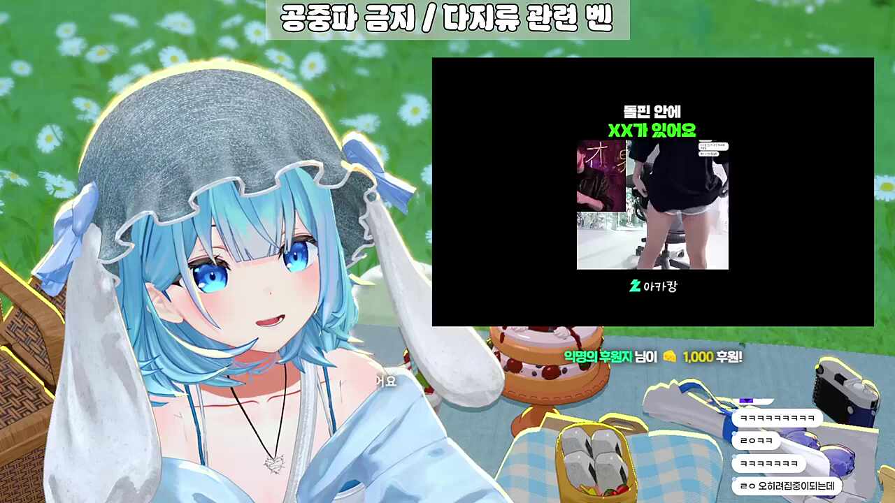돌핀 안에는