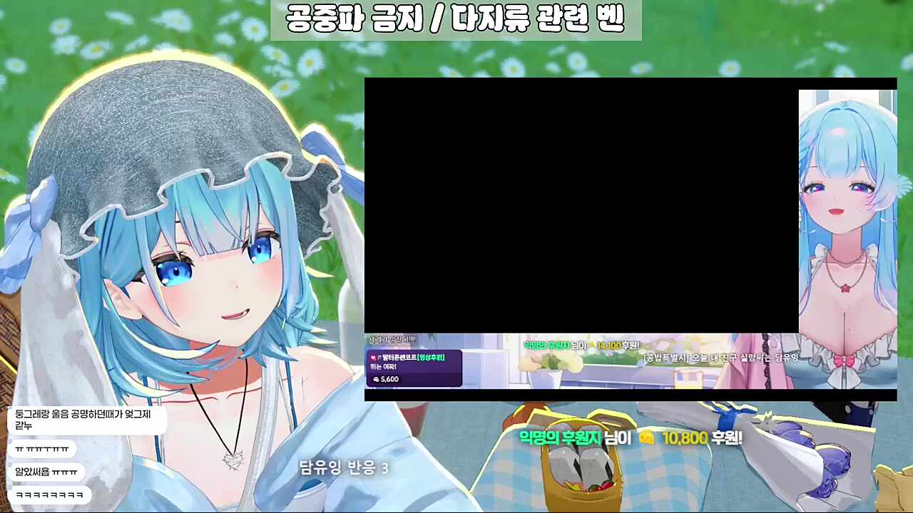 둥그레 너 왜 안왔어