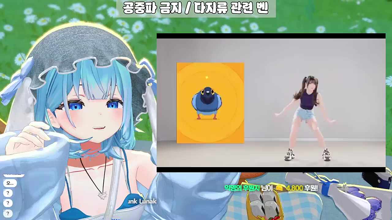 현직 비둘기