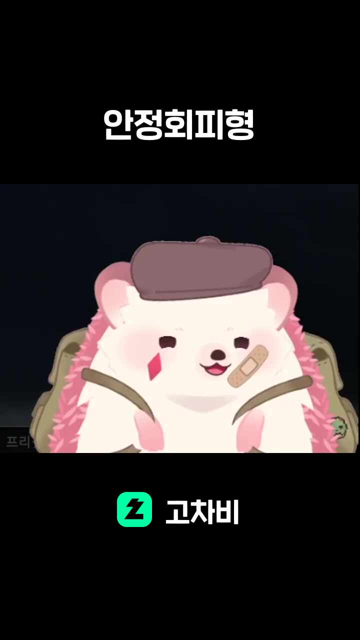 안정회피형