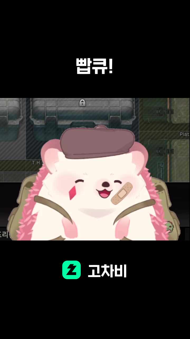 빱큐!