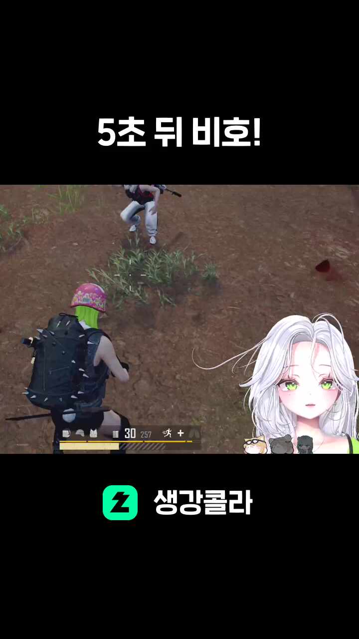 5초 뒤 비호!