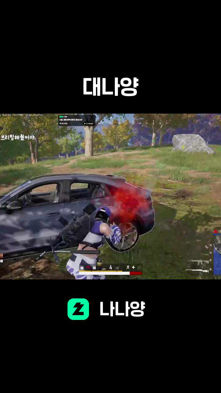 대나양