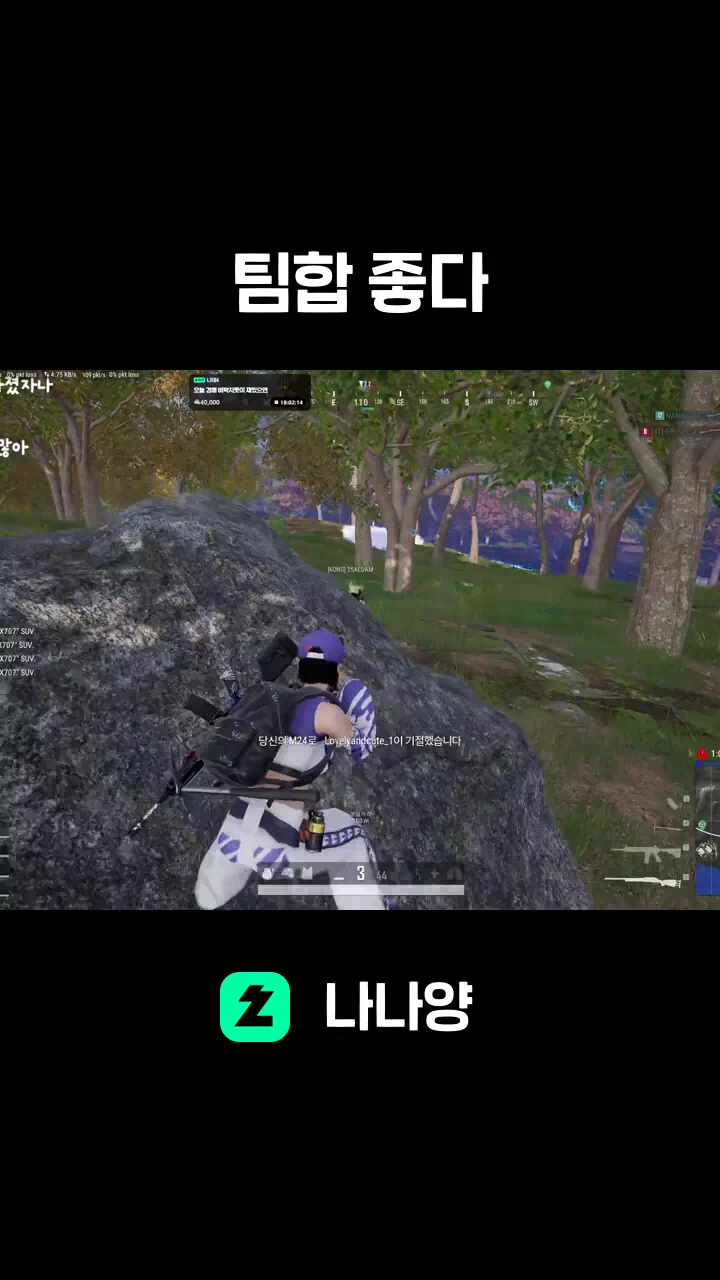 팀합 좋다