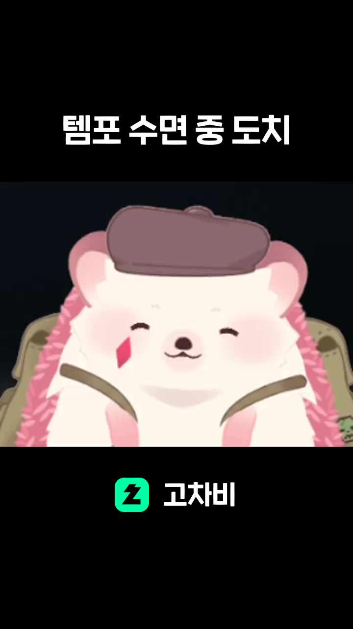템포 수면 중 도치