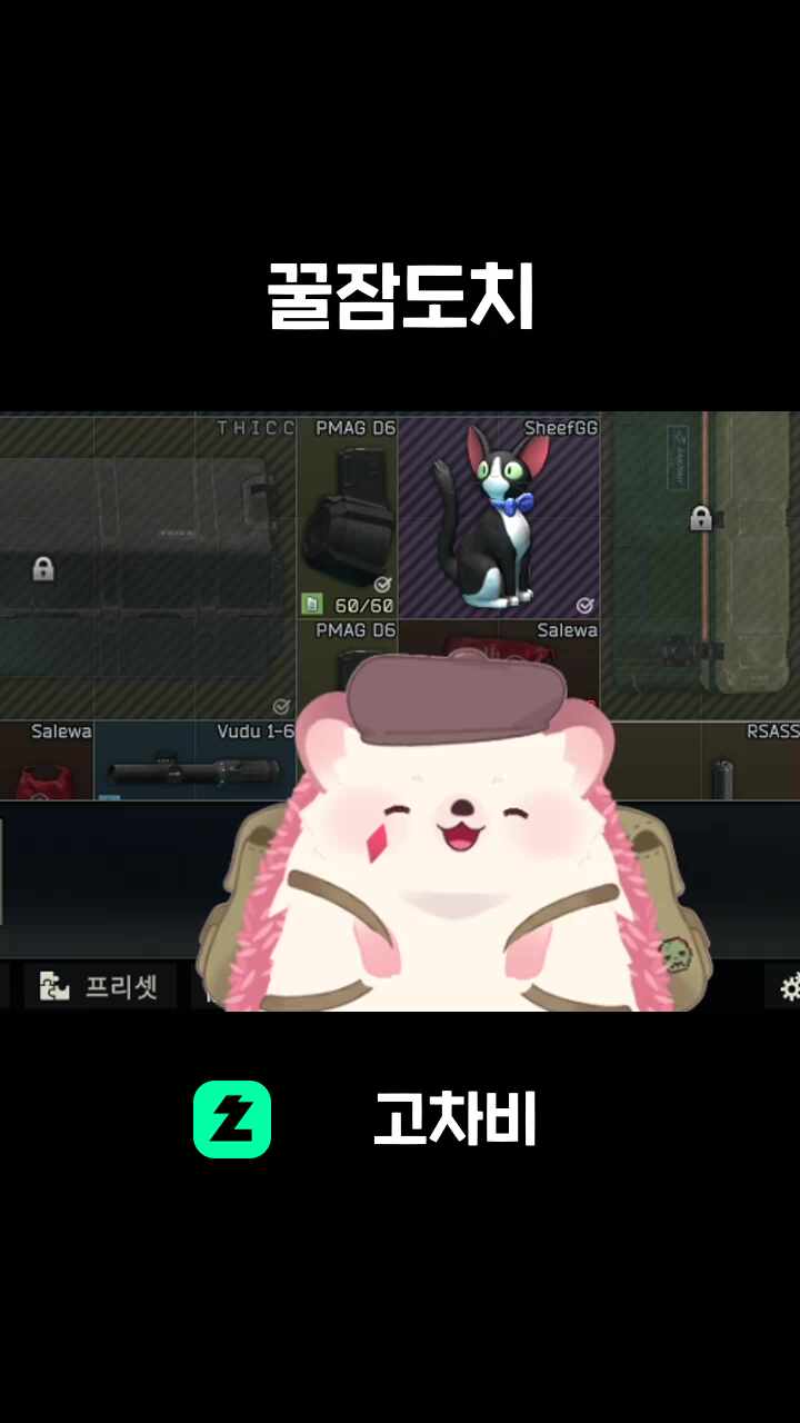 꿀잠도치