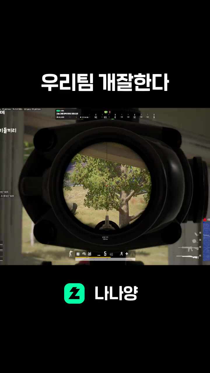 우리팀 개잘한다