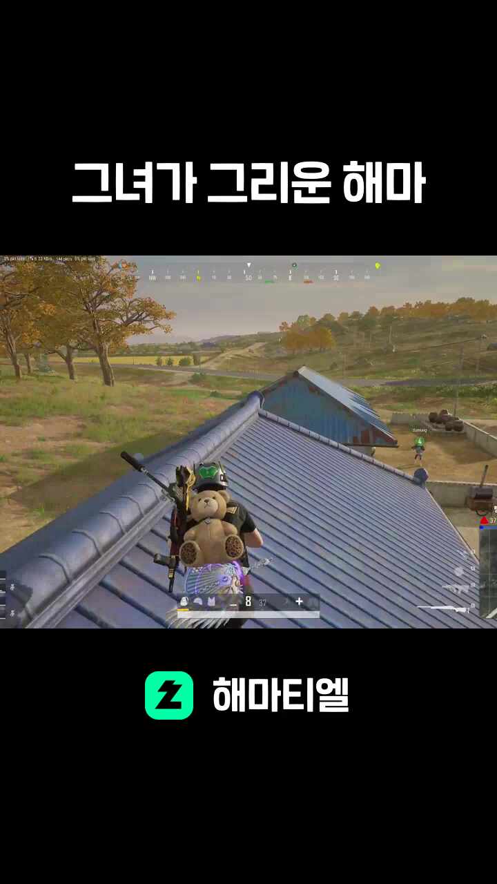 그녀가 그리운 해마