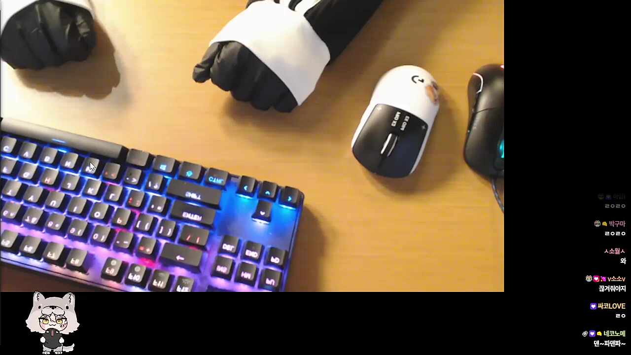 덴파덴파~🐹