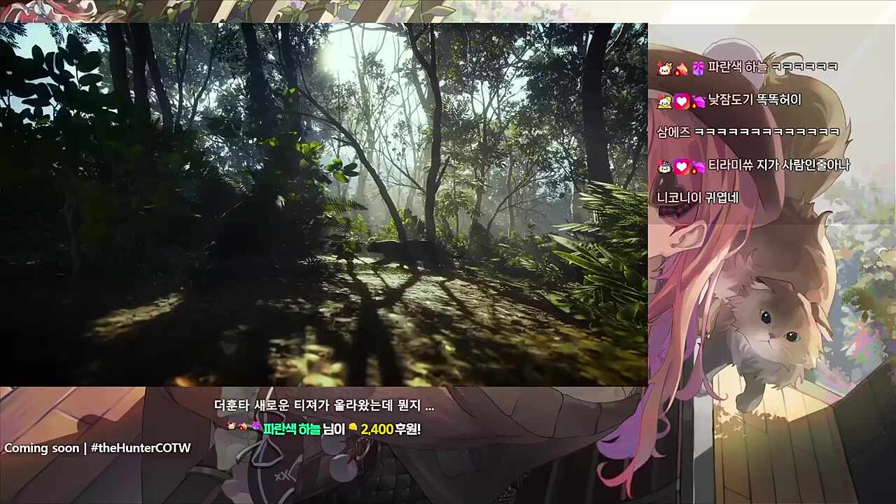 왓.왓