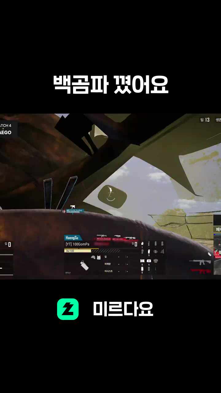 백곰파 꼈어요