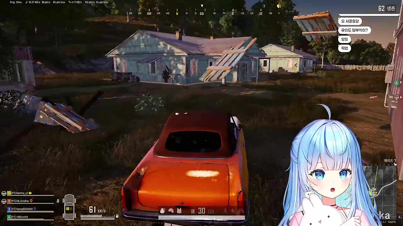 로드킬