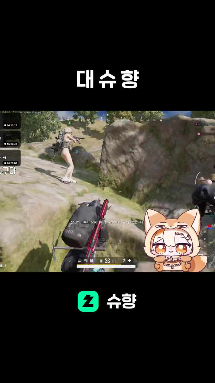 대 슈 향