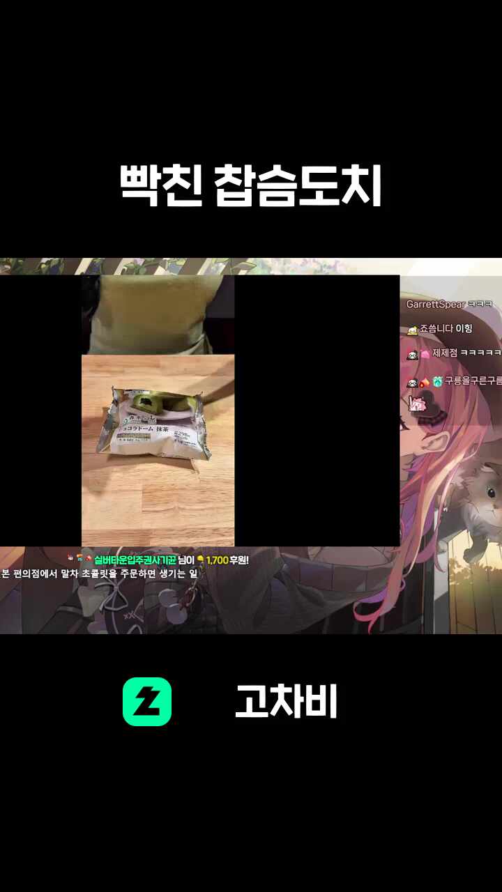 빡친 찹슴도치