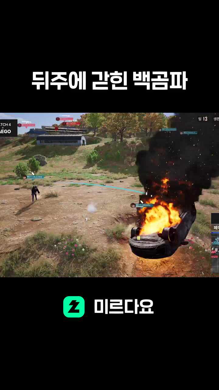뒤주에 갇힌 백곰파