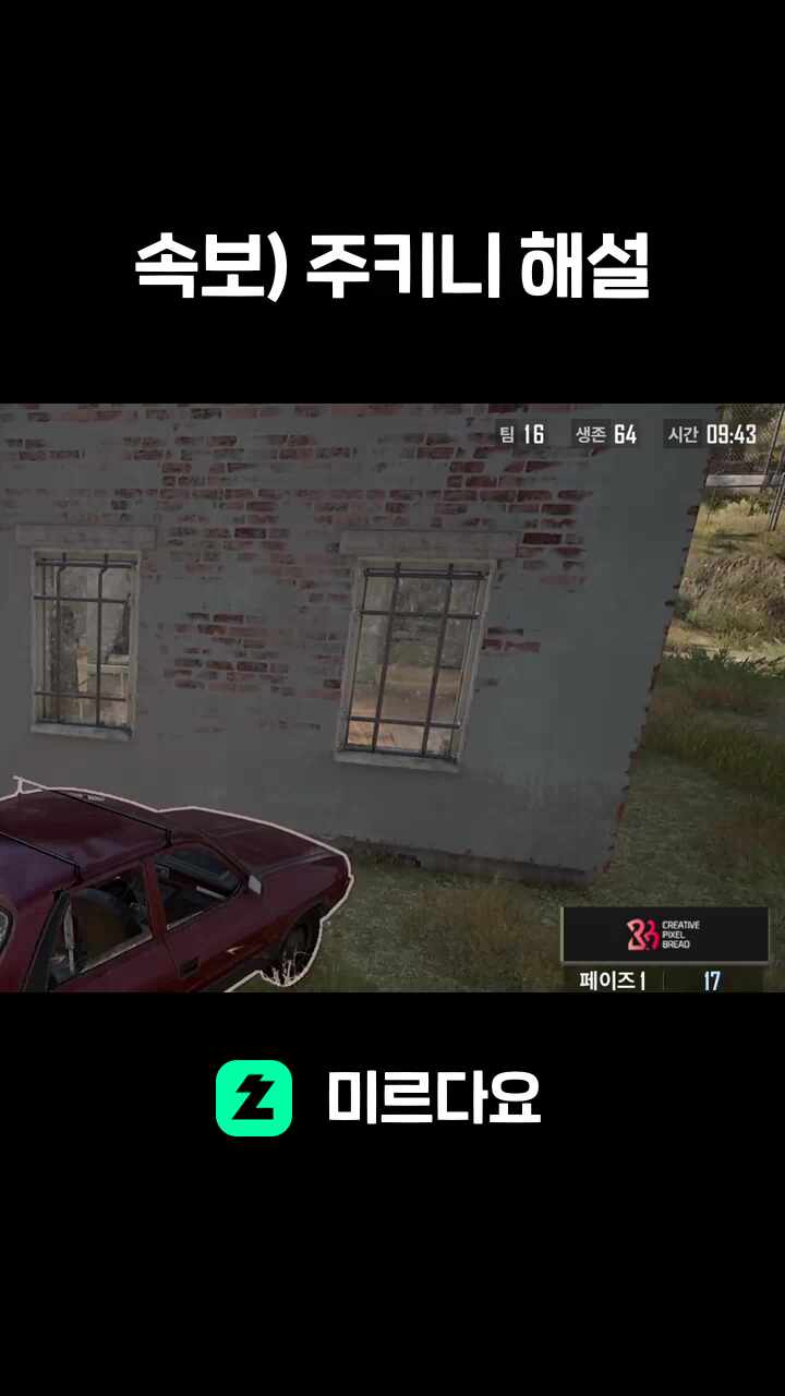 속보) 주키니 해설