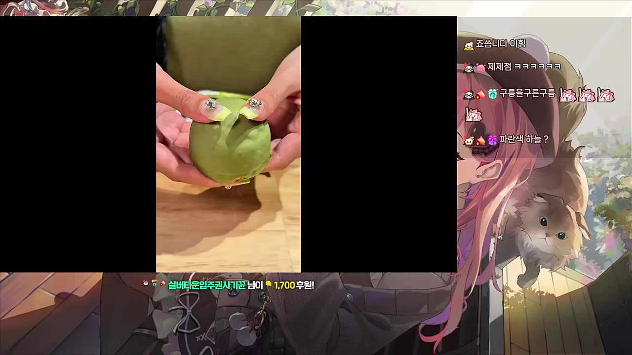 갈곳잃은 동그리 (동... 동...)