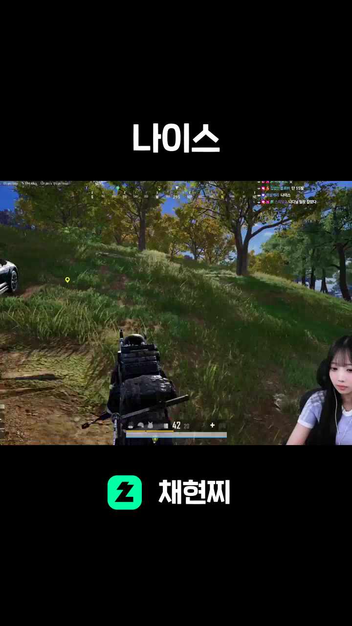 나이스