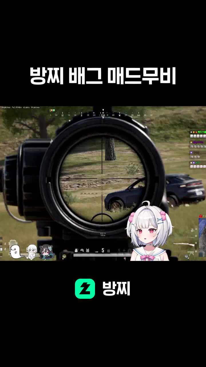 방찌 배그 매드무비