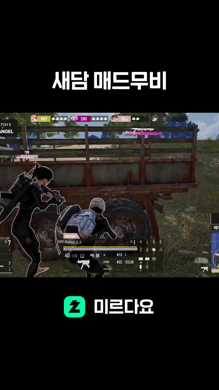 새담 매드무비