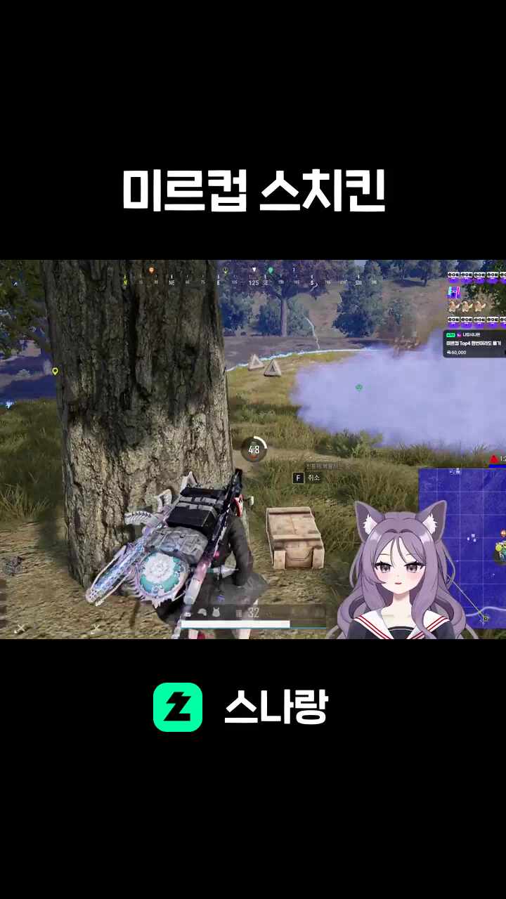 미르컵 스치킨
