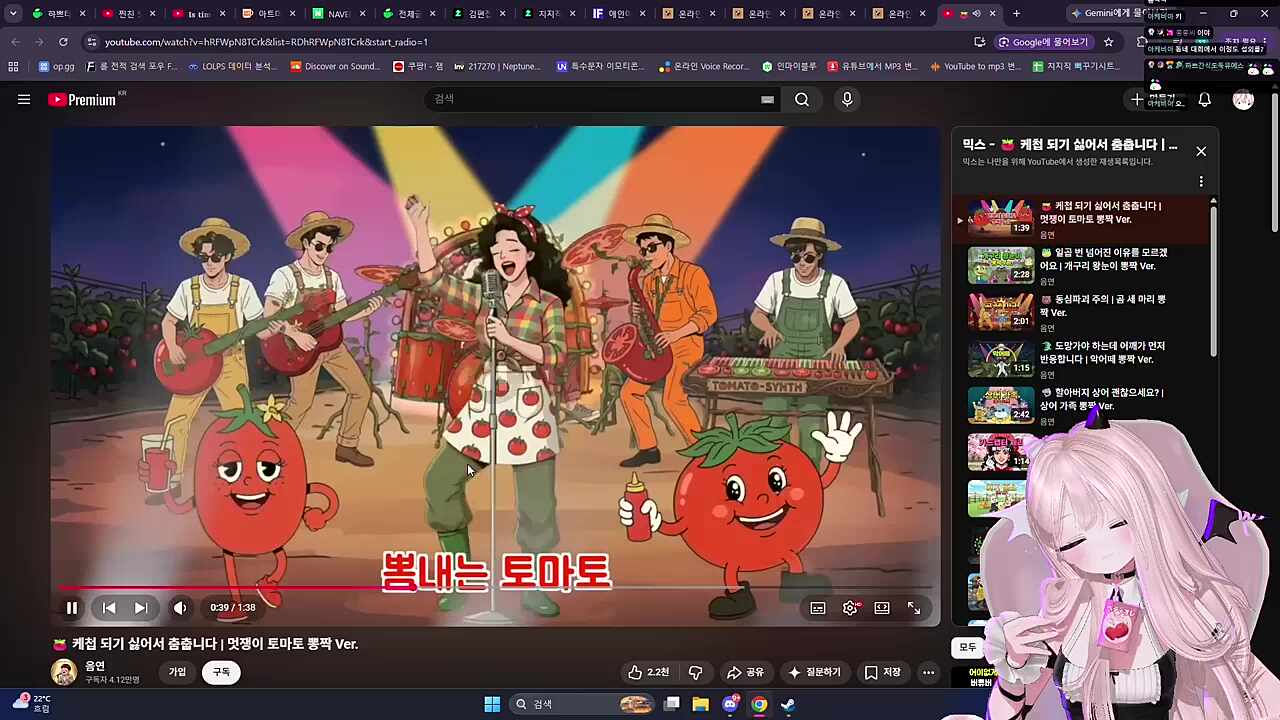 채로키 - 멋쟁이 토마토