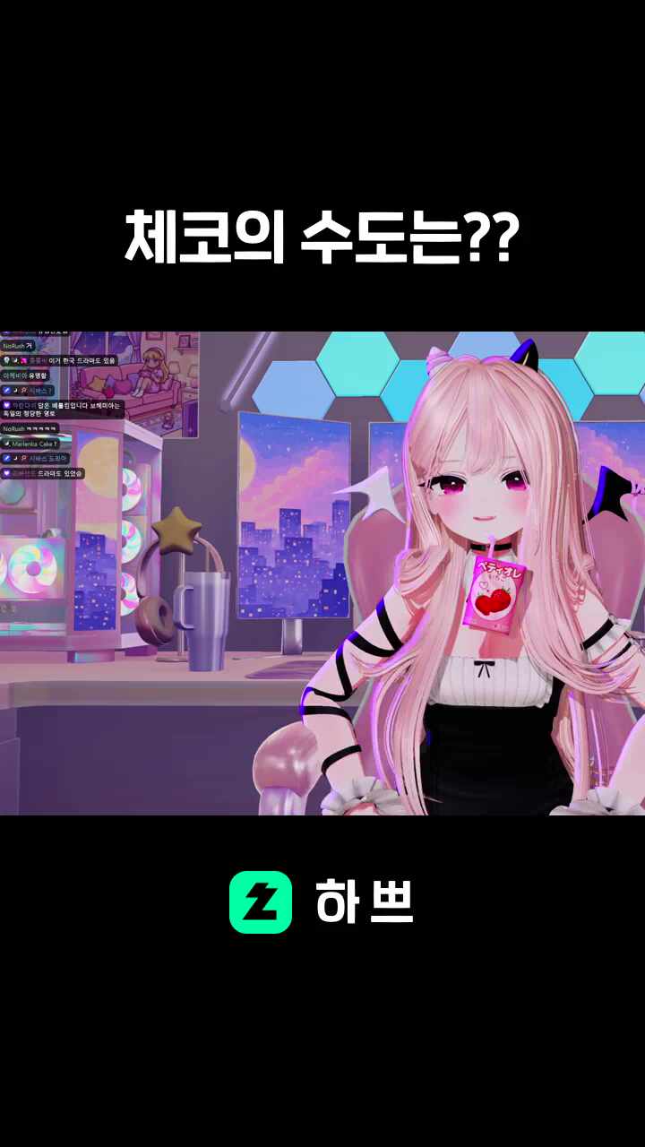 체코의 수도는??
