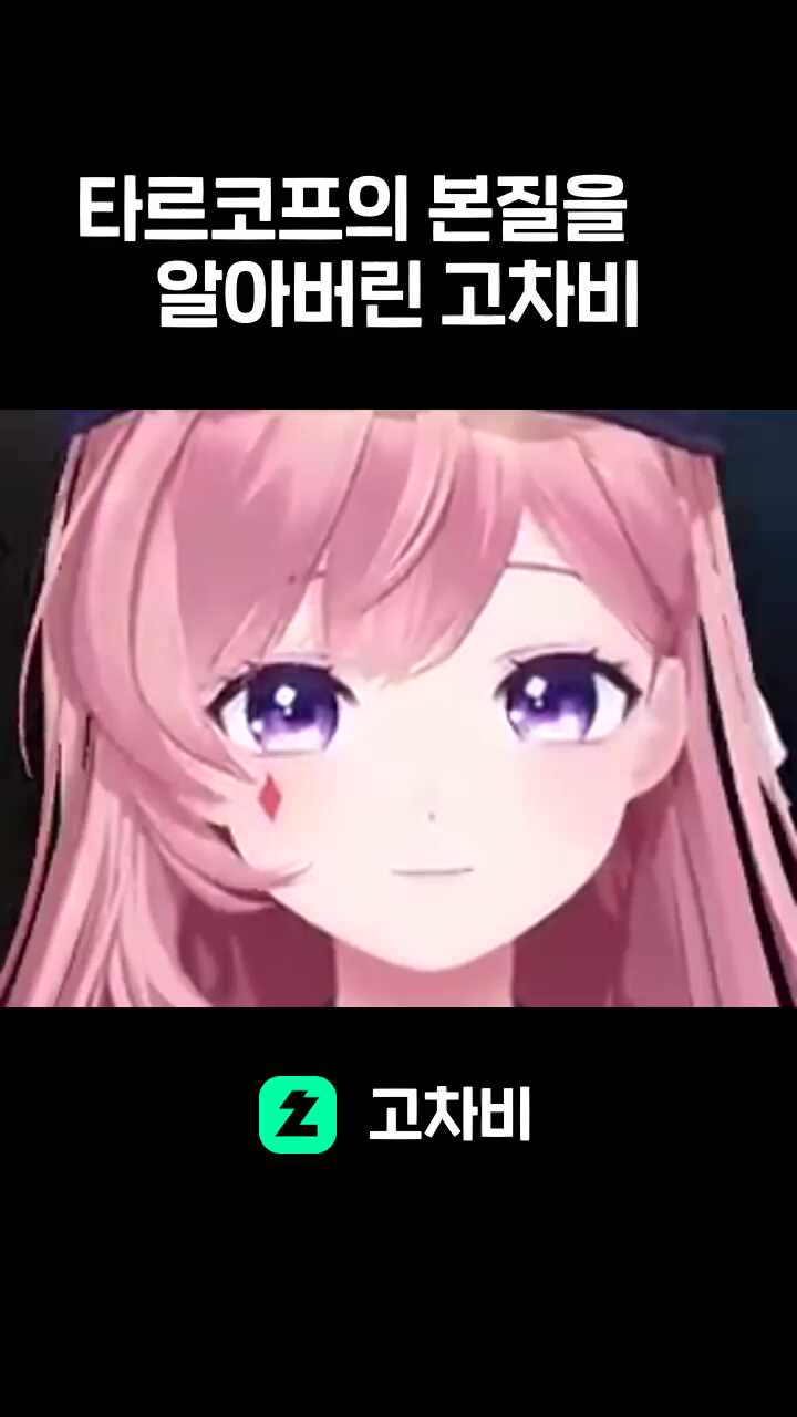 타르코프의 본질을      알아버린 고차비