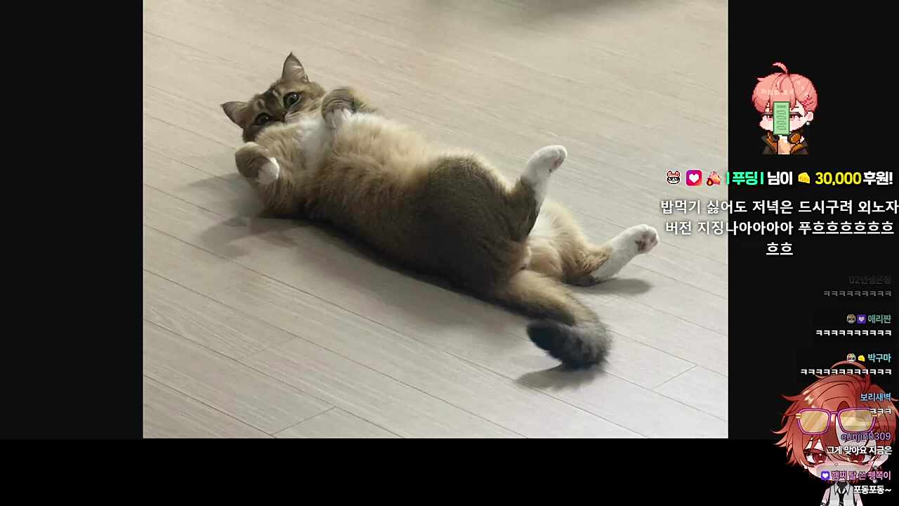???:현타