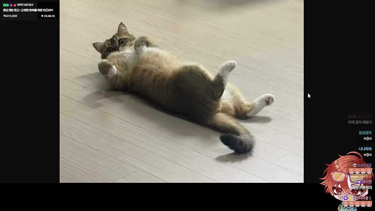 당연히 다르지;