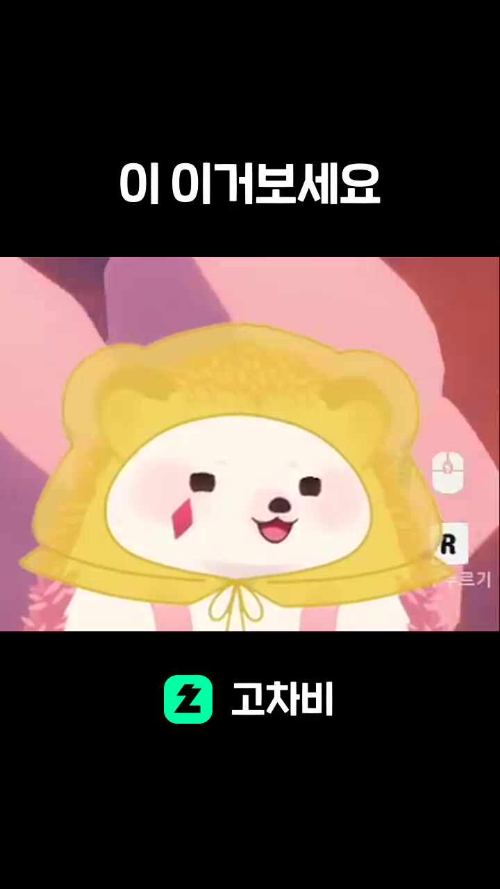 이 이거보세요