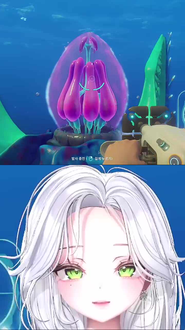 개같은 촉수