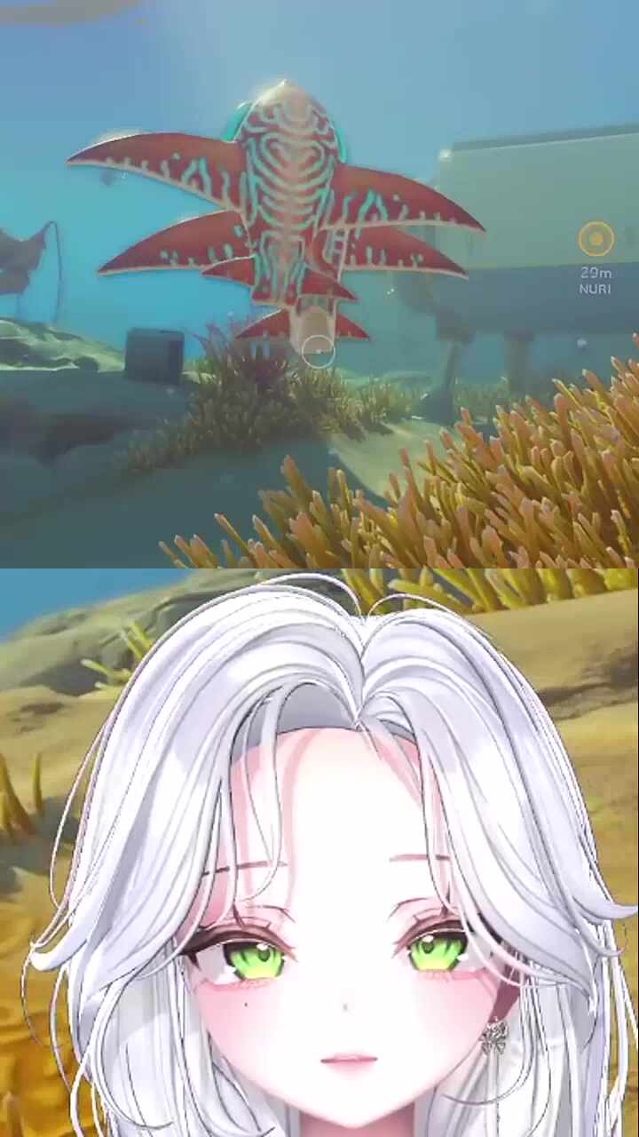 물고기들도 합니다