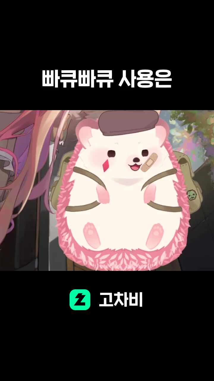 빠큐빠큐 사용은