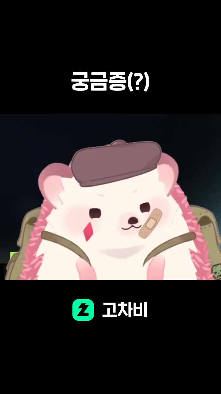 궁금증(?)