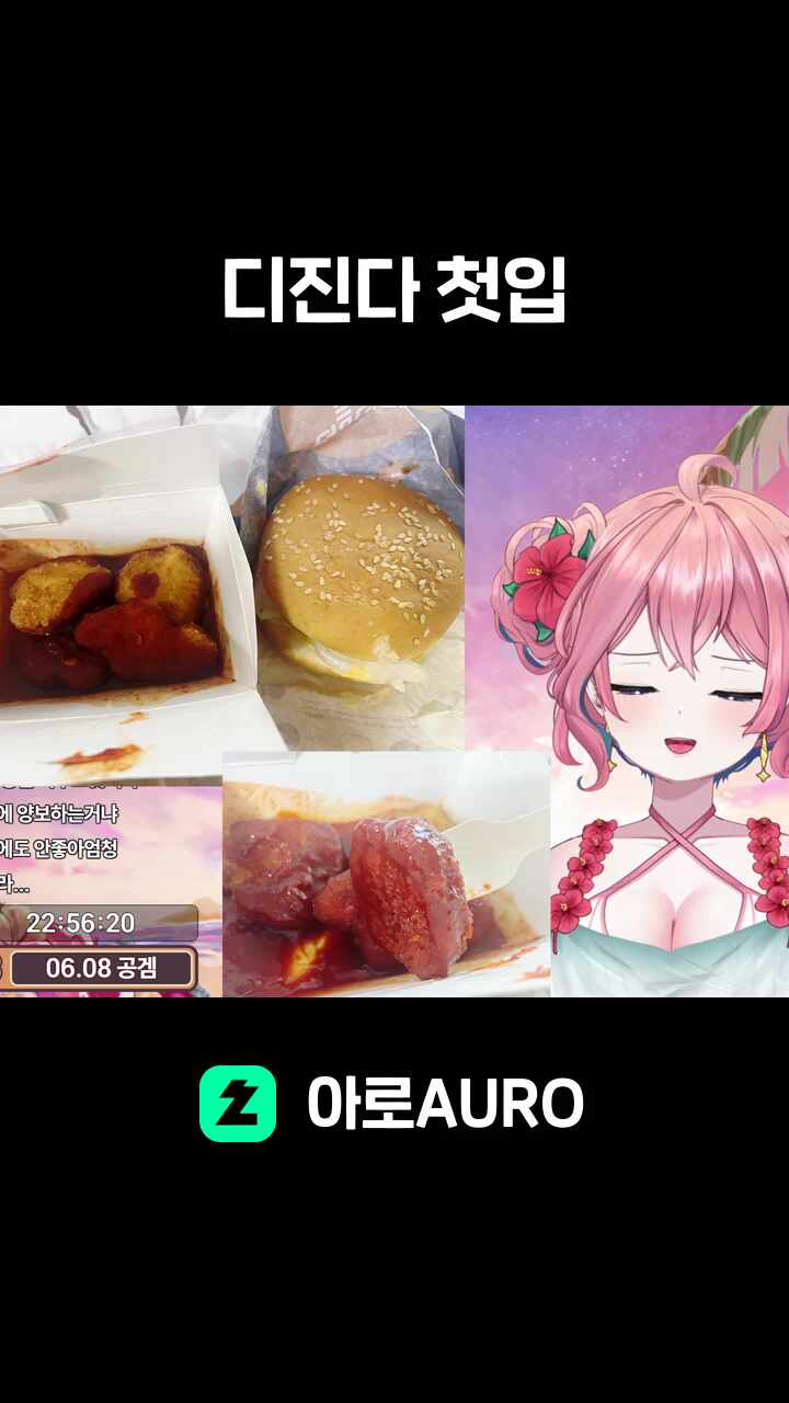 디진다 첫입