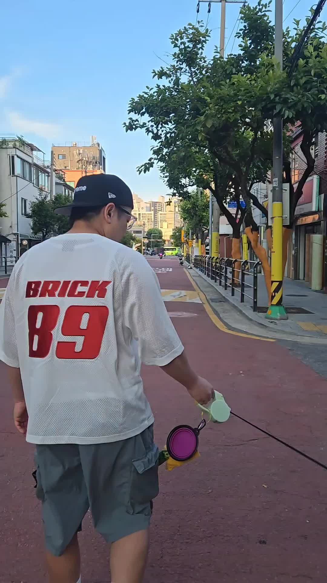 스타일 카드