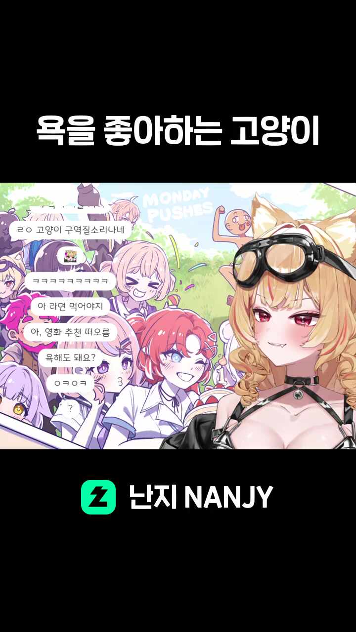 욕을 좋아하는 고양이