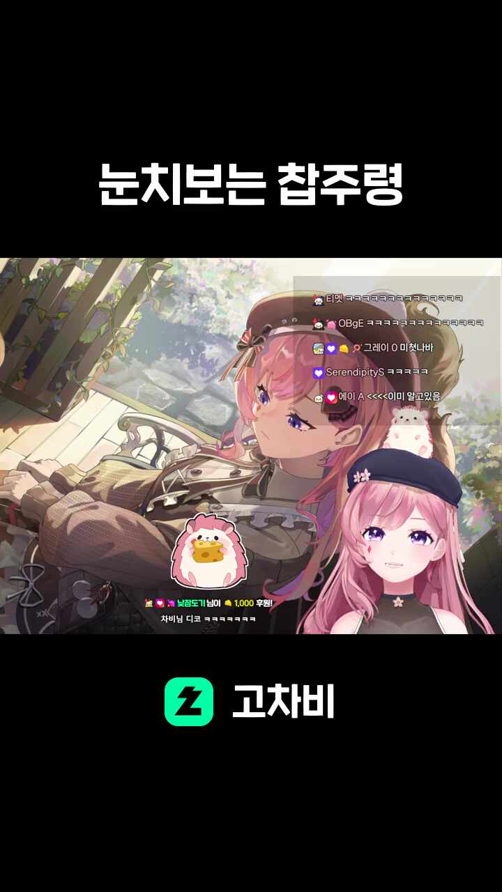 눈치보는 찹주령